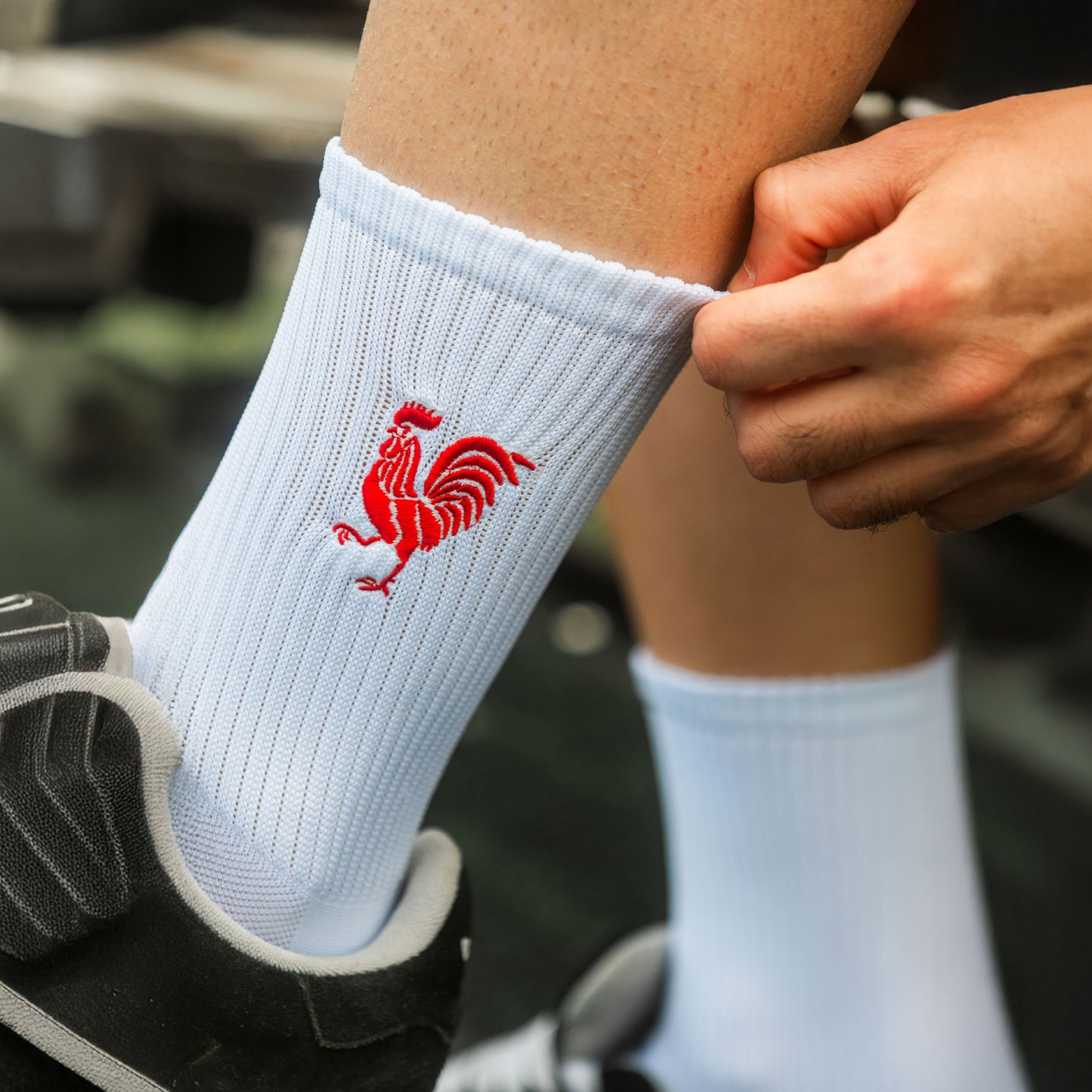 Medias Gallina Blanca