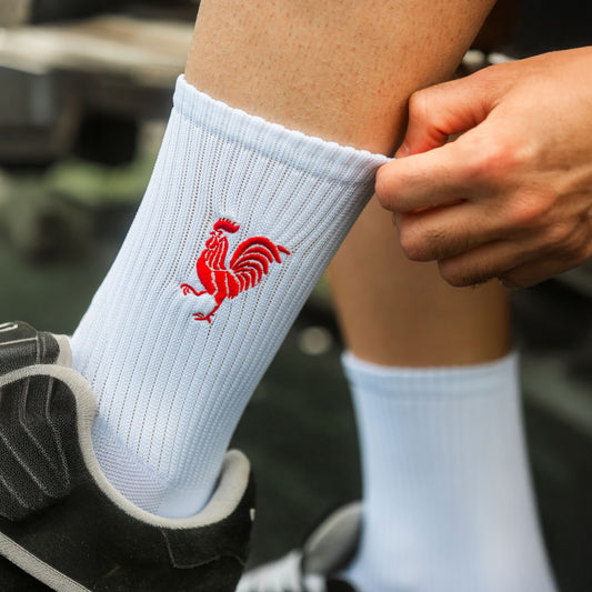 Medias Gallina Blanca