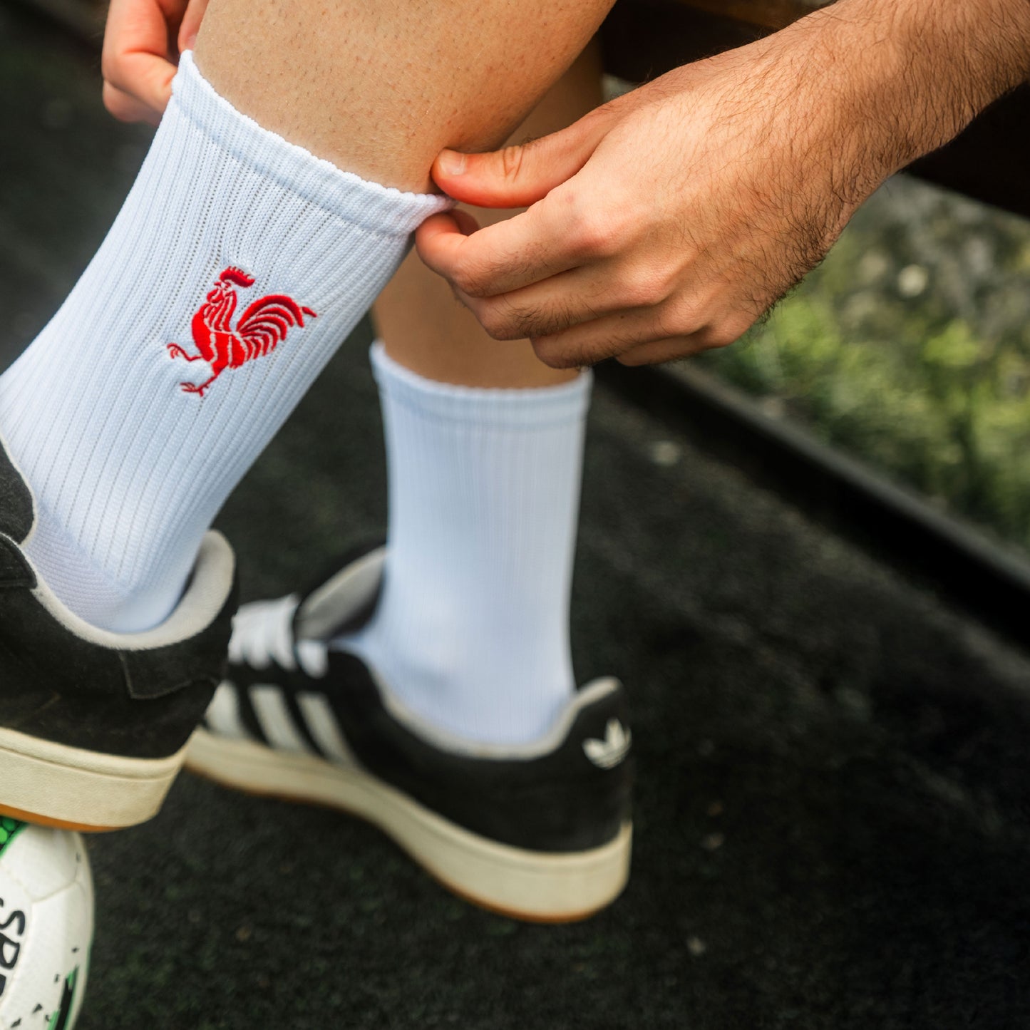 Medias Gallina Blanca